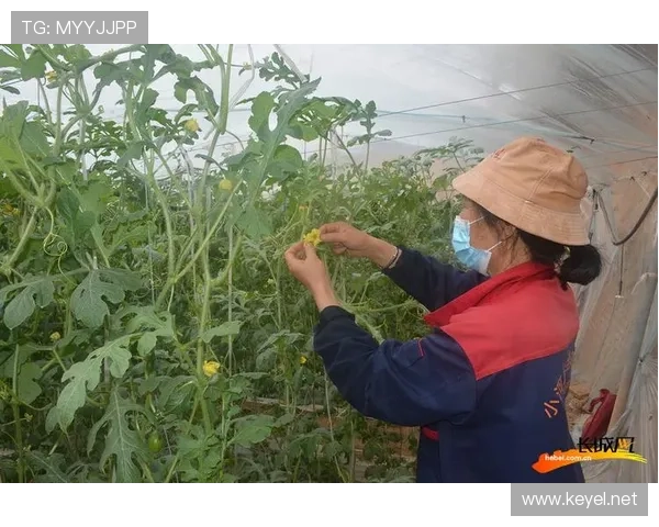 宁晋体育联赛（宁晋体育联赛在哪举行）sports